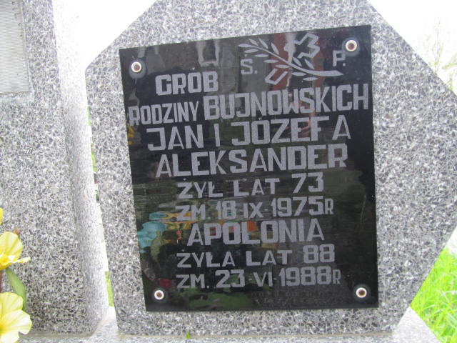 Grób Aleksander  Bujnowski