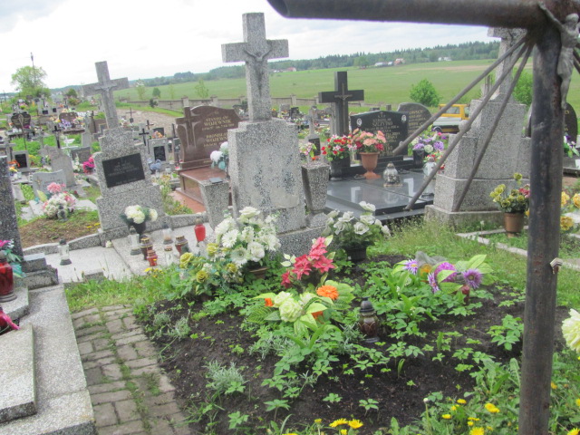 Aleksandra Radziwonowicz  1886 Krasnybór - Grobonet - Wyszukiwarka osób pochowanych