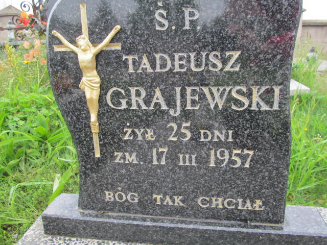 Tadeusz Grajewski Krasnybór - Grobonet - Wyszukiwarka osób pochowanych